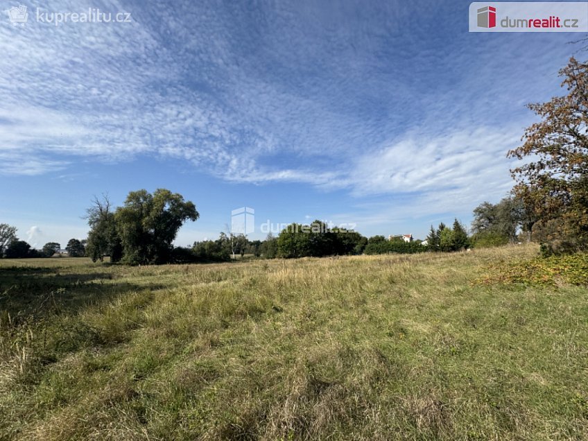 Prodej  stavebního pozemku 4621 m^2 Údlice, Údlice 