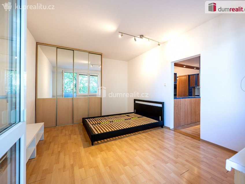 Pronájem bytu 1+1 38 m^2 J. Plachty, České Budějovice 