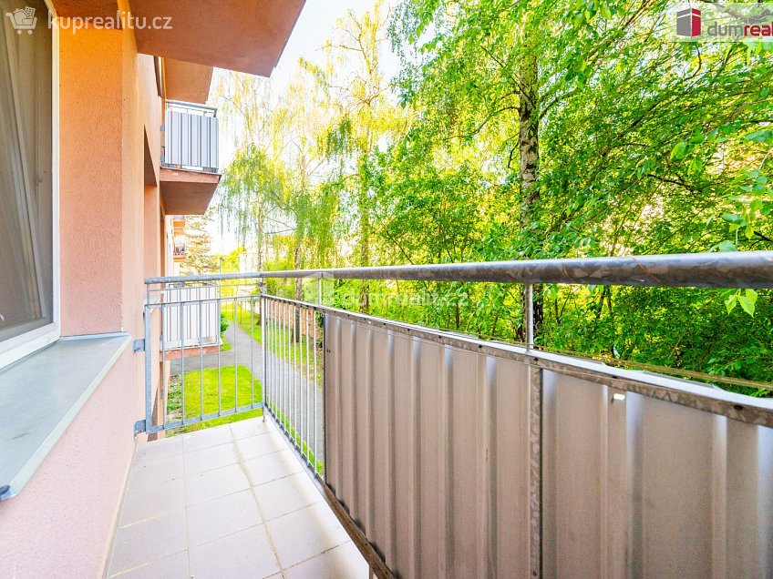 Pronájem bytu 1+1 38 m^2 J. Plachty, České Budějovice 