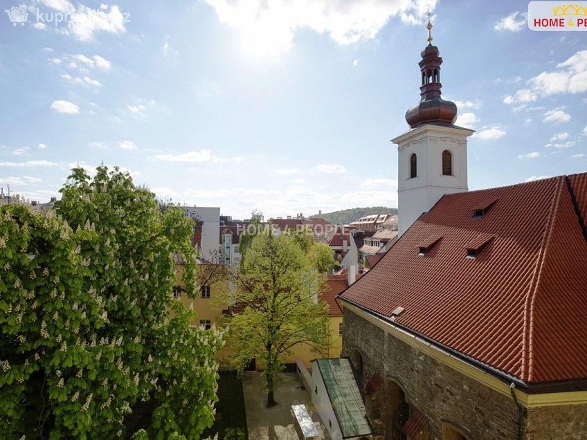 Pronájem bytu 2+1 62 m^2 Opatovická, Praha 1 