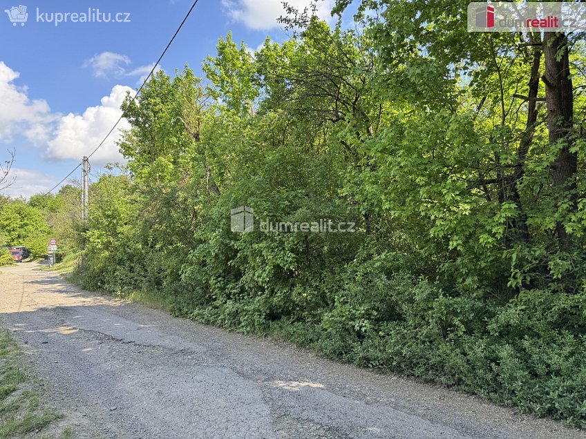 Prodej  louky 5056 m^2 Partyzánská, Uherské Hradiště 