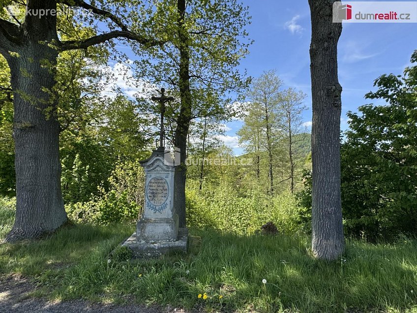 Prodej  ubytovacího zařízení 11489 m^2 Cvikov, Cvikov 