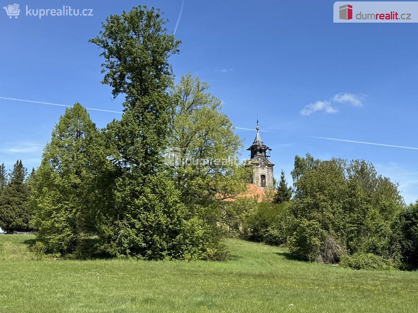 Prodej  ubytovacího zařízení 11489 m^2 Cvikov, Cvikov 