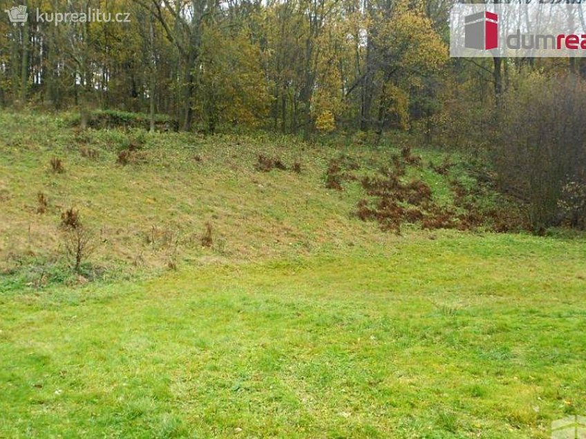 Prodej  stavebního pozemku 10000 m^2 Petrovice, Petrovice 