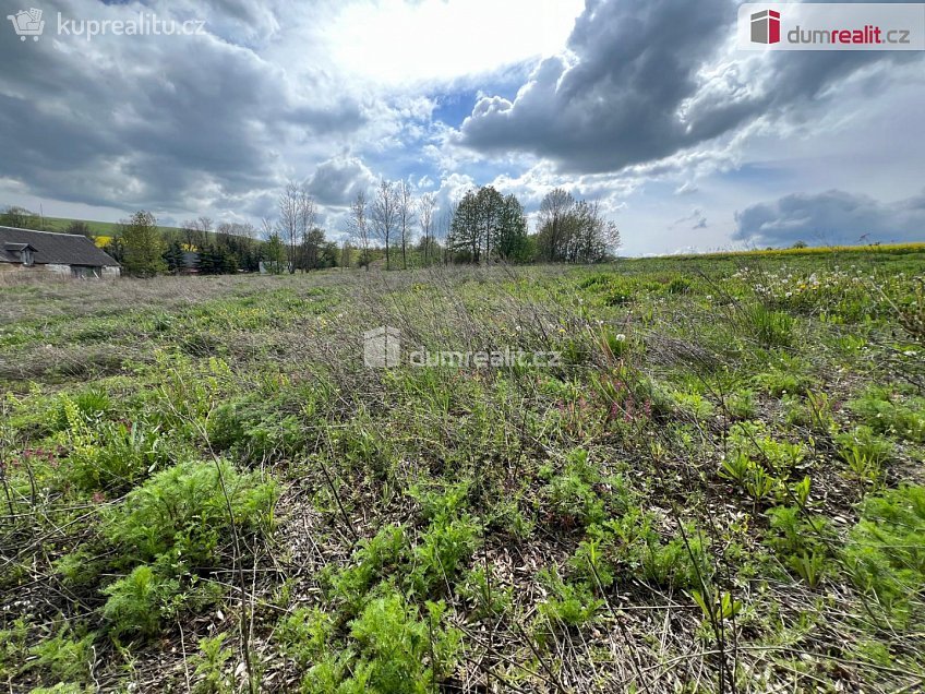 Prodej  stavebního pozemku 3978 m^2 Rudná pod Pradědem, Rudná pod Pradědem 
