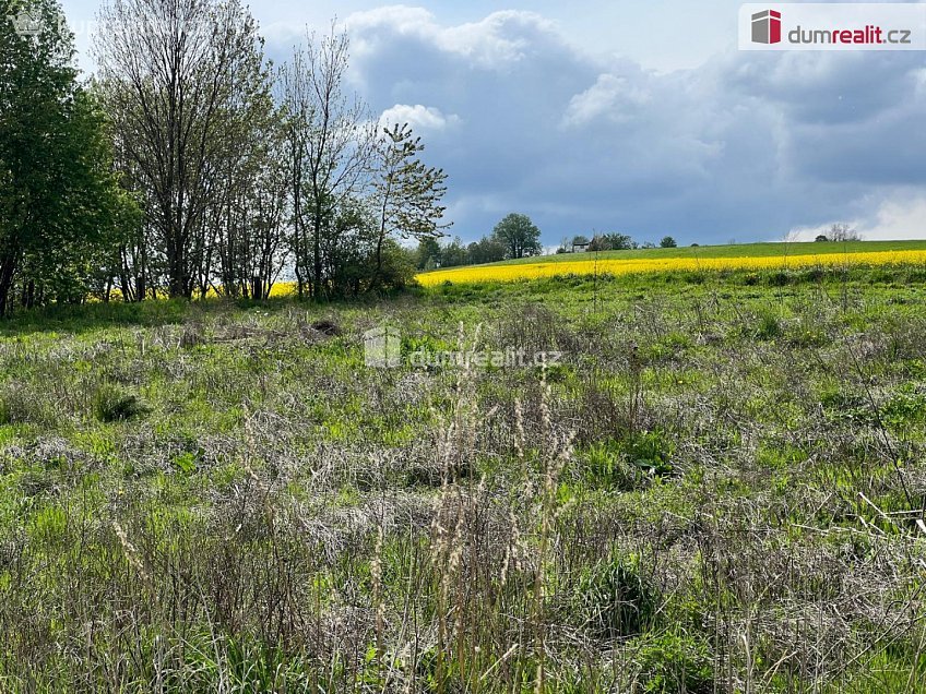 Prodej  stavebního pozemku 3978 m^2 Rudná pod Pradědem, Rudná pod Pradědem 