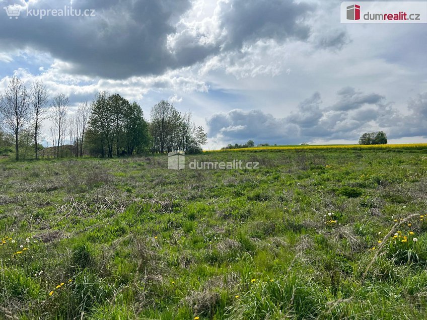 Prodej  stavebního pozemku 3978 m^2 Rudná pod Pradědem, Rudná pod Pradědem 