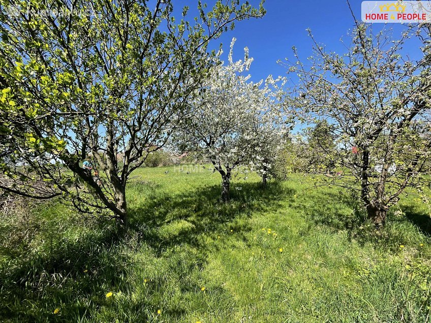 Prodej  rodinného domu 84 m^2 Chroustov, Chroustov 