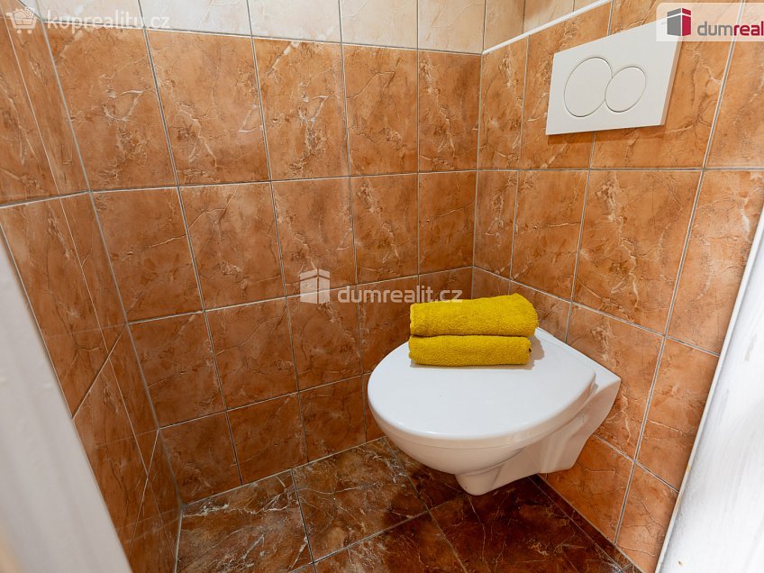 Prodej  rodinného domu 170 m^2 Třebusice, Třebusice 