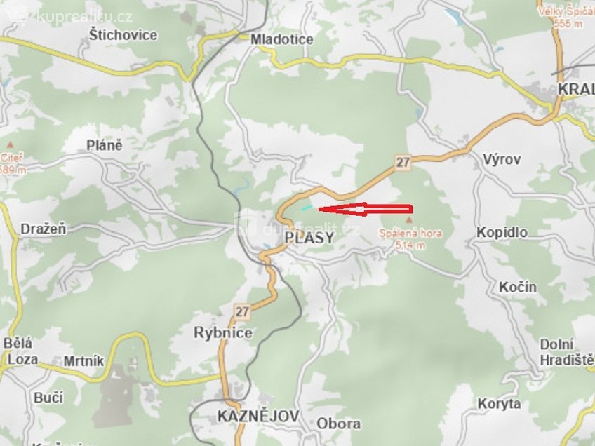 Prodej  lesa 3528 m^2 Plasy, Plasy 