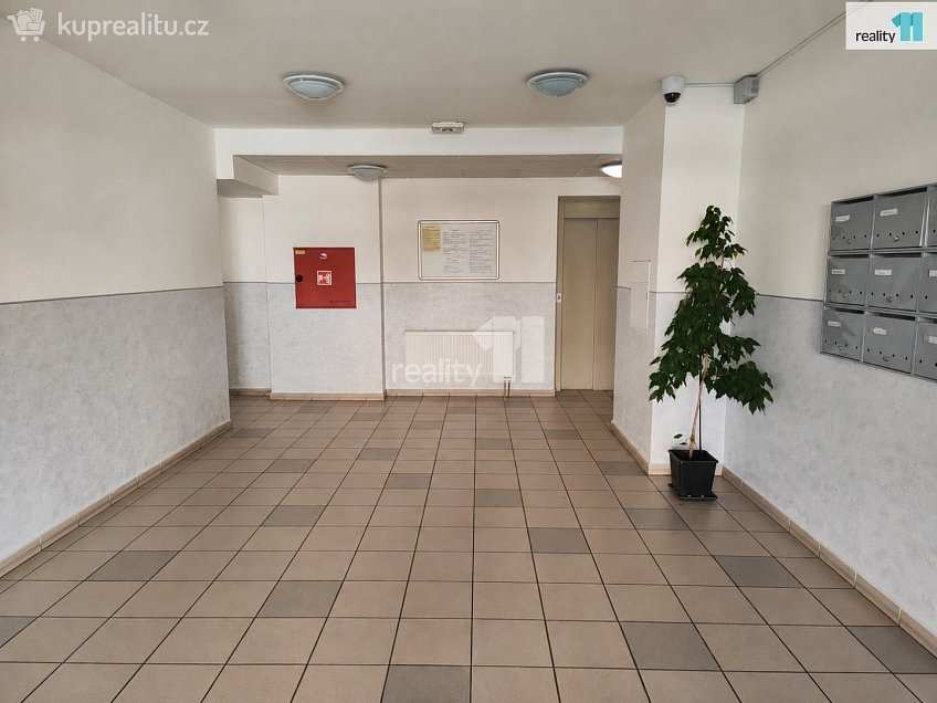 Pronájem bytu 2+kk 45 m^2 Dubová, Pardubice 