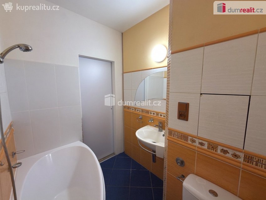 Pronájem bytu 1+1 34 m^2 Šípková, Ústí nad Labem 