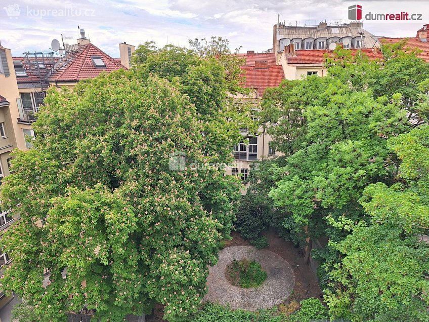 Pronájem bytu 1+kk 28 m^2 Jana Masaryka, Praha 2 