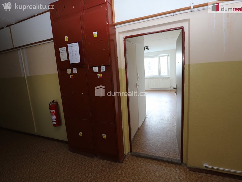 Pronájem bytu 1+kk 25 m^2 Přátelství, Cheb 