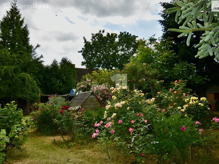 Prodej  rodinného domu 2572 m^2 Dobrá Voda u Hořic, Dobrá Voda u Hořic 