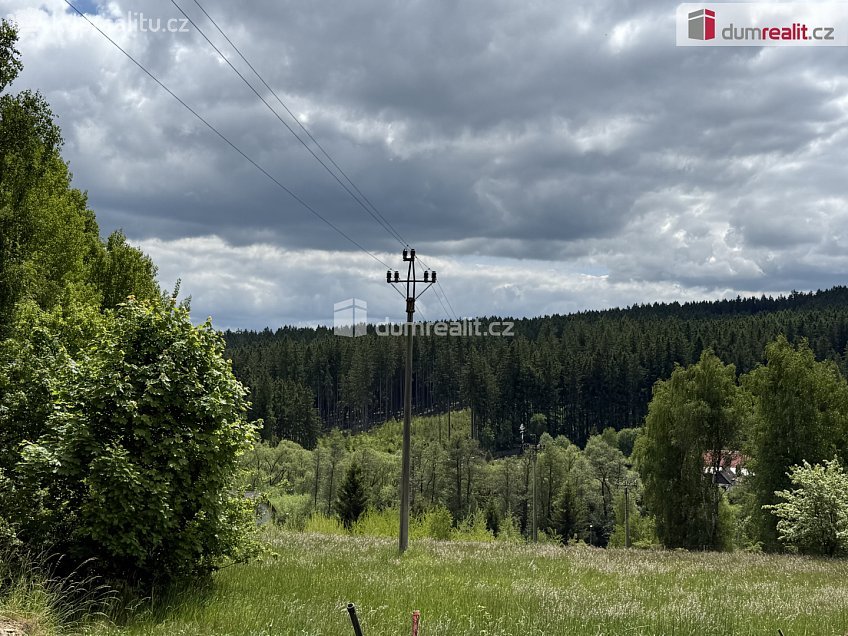 Prodej  rodinného domu 390 m^2 Bor, Bor 