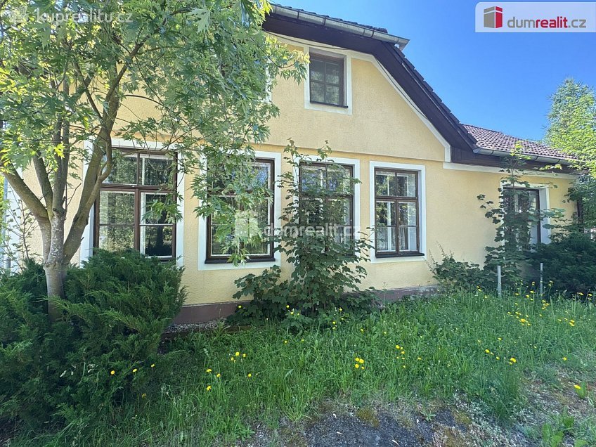 Prodej  ubytovacího zařízení 390 m^2 Bor, Bor 