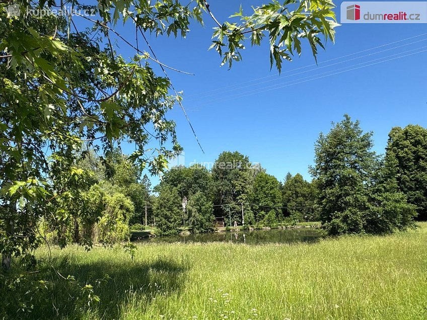 Prodej  ubytovacího zařízení 390 m^2 Bor, Bor 