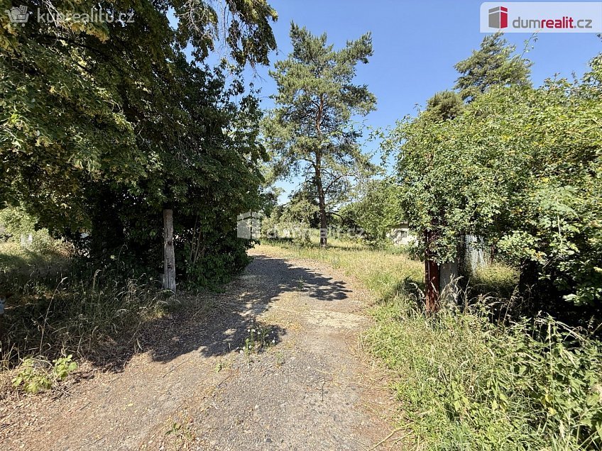 Pronájem  zahrady 5135 m^2 Velkoveská, Odolena Voda 