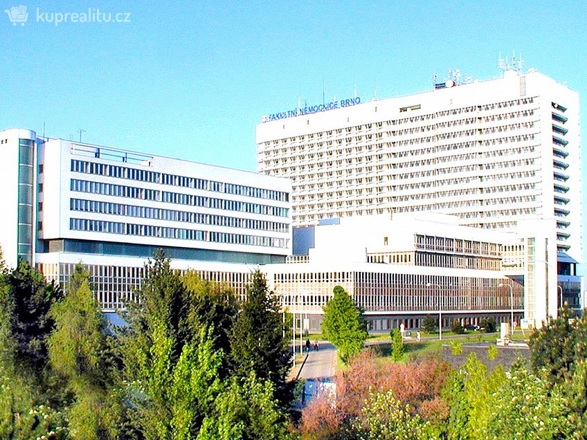 Pronájem bytu 1+1 43 m^2 Brno, Hor.Heršpice, ul. Jižní, Brno 61900