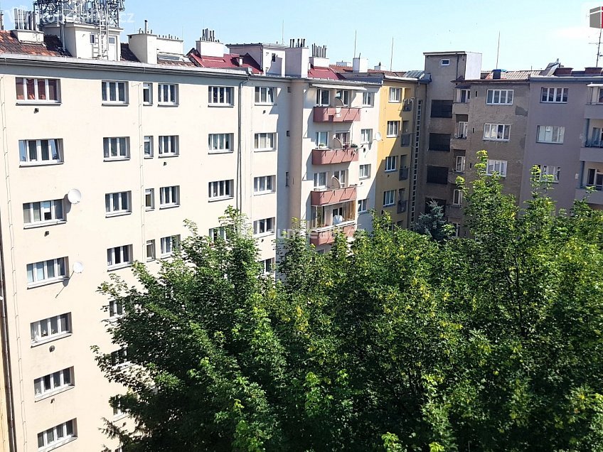 Prodej bytu 1+1 35 m^2 Tučkova, Brno 