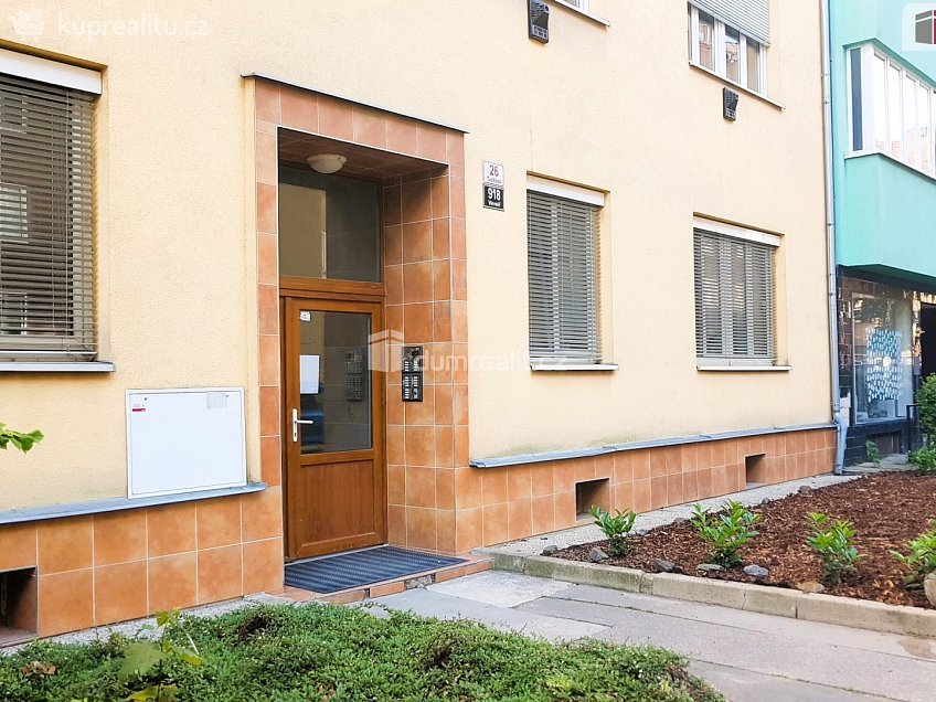 Prodej bytu 1+1 35 m^2 Tučkova, Brno 