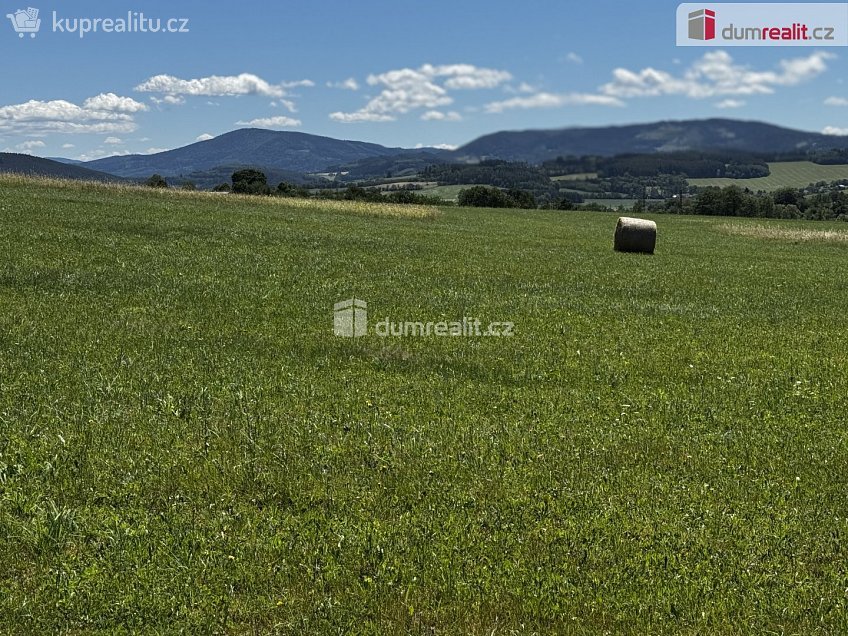 Prodej  stavebního pozemku 1164 m^2 Pražská, Vlachovo Březí 