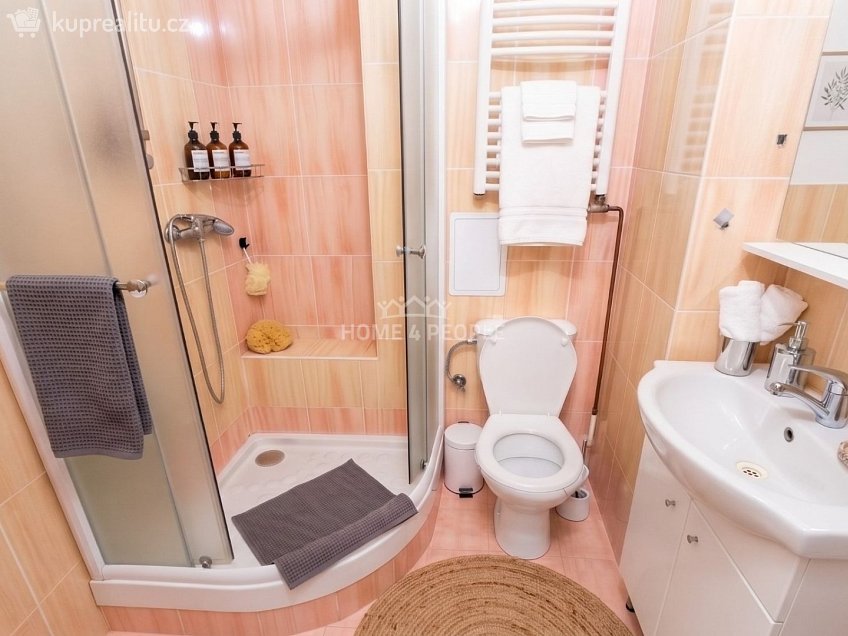 Prodej bytu 1+1 31 m^2 Pabláskova, České Budějovice 