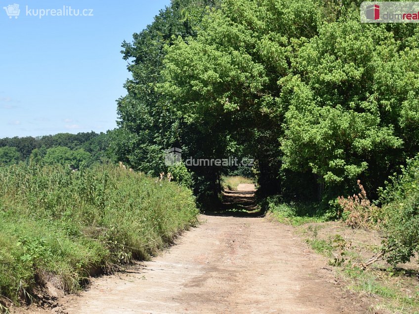 Prodej  stavebního pozemku 909 m^2 Loukovec, Loukovec 