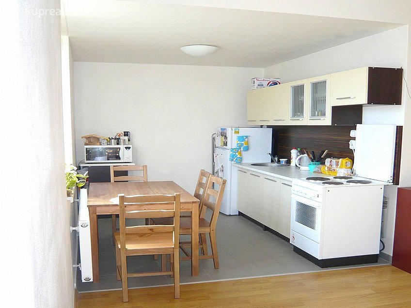 Pronájem bytu 1+1 35 m^2 U Leskavy, Brno 62500