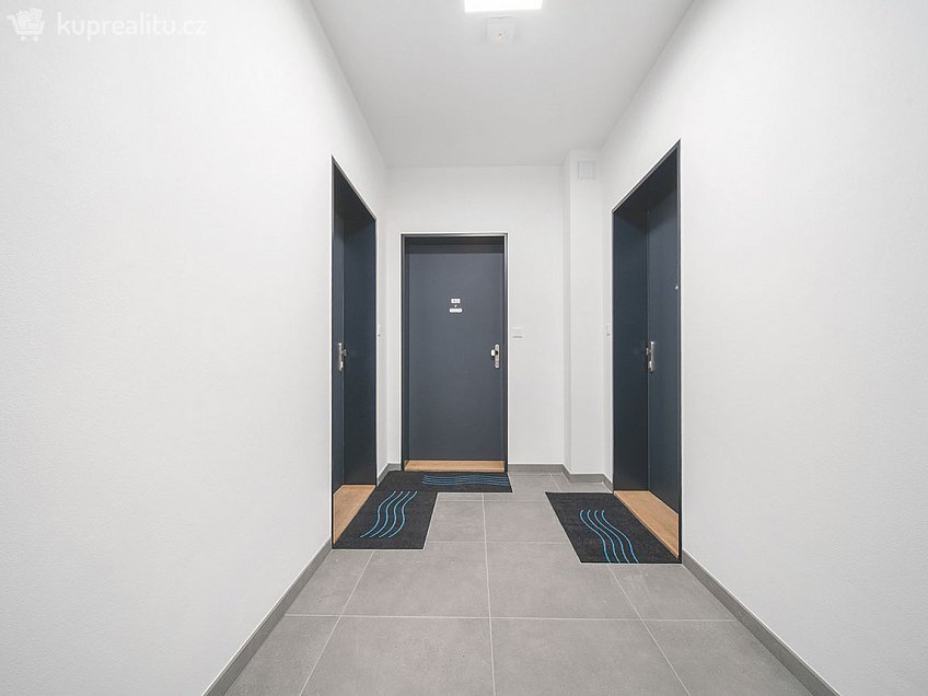 Pronájem bytu 1+1 35 m^2 U Leskavy, Brno 62500