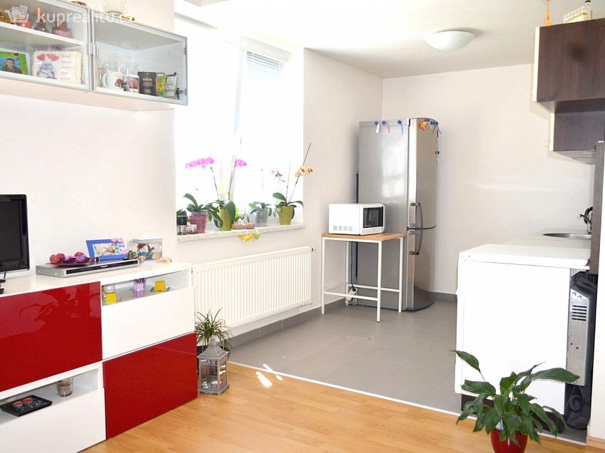 Pronájem bytu 1+1 35 m^2 U Leskavy, Brno 62500