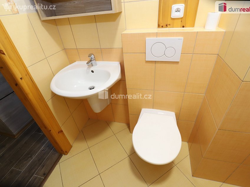 Prodej bytu 1+kk 21 m^2 J. A. Gagarina, Nejdek 