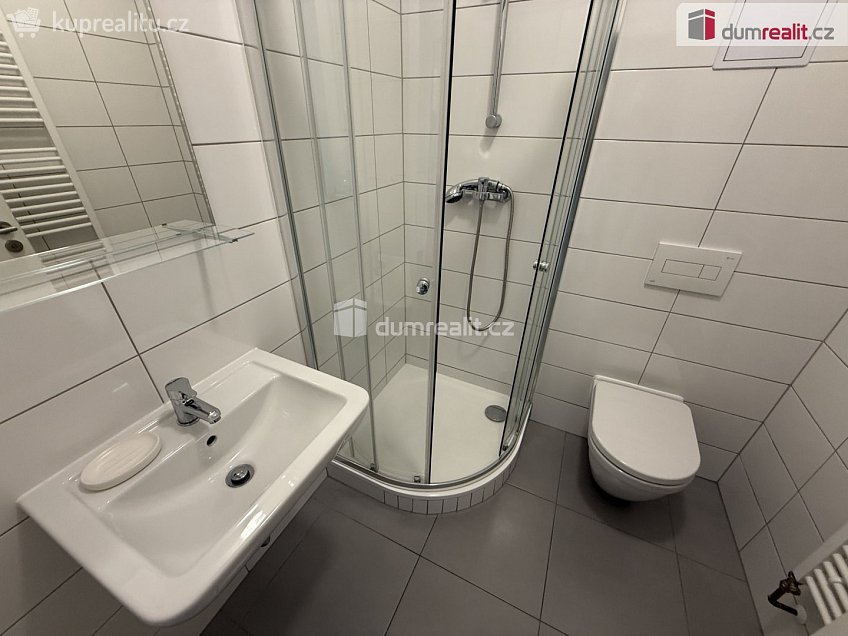 Pronájem bytu 1+kk 25 m^2 Budějovická, Praha 4 