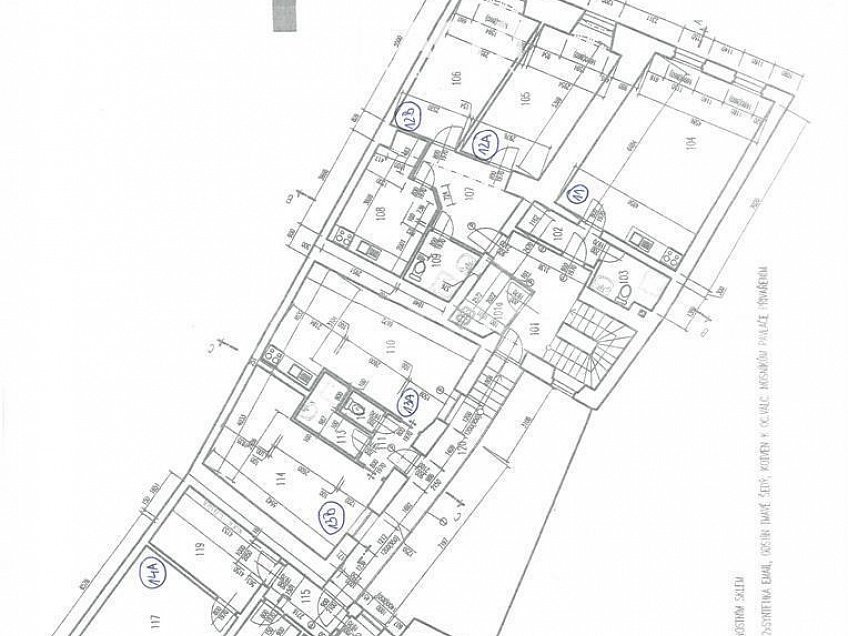 Pronájem bytu - pokoj 80 m^2 Kapucínská, Olomouc 77900