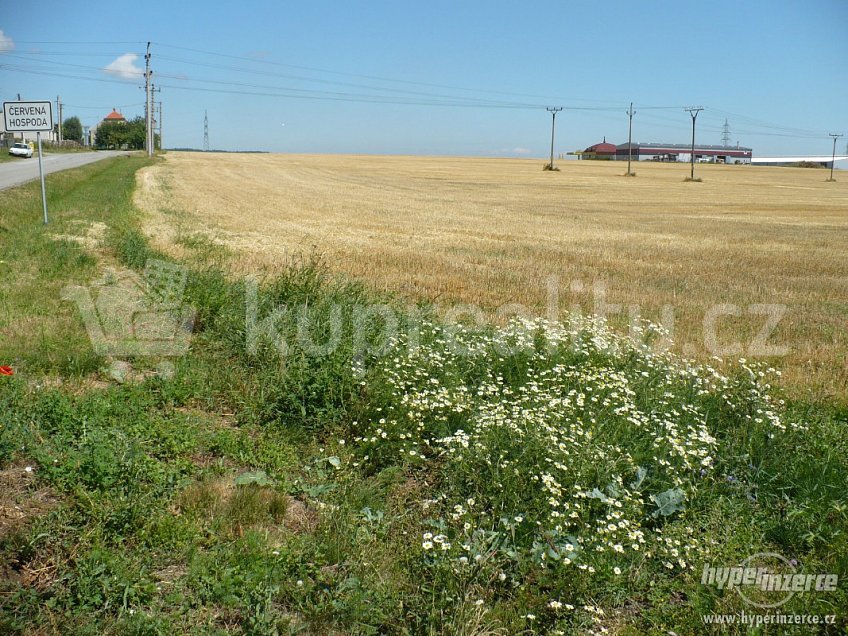 Prodej  stavebního pozemku 6700 m^2 Červená hospoda 67522