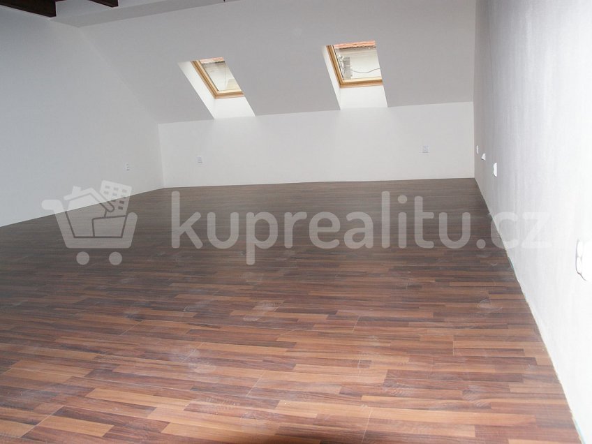 Prodej  domu 700 m^2 Dolní Věstonice 15, Dolní Věstonice 