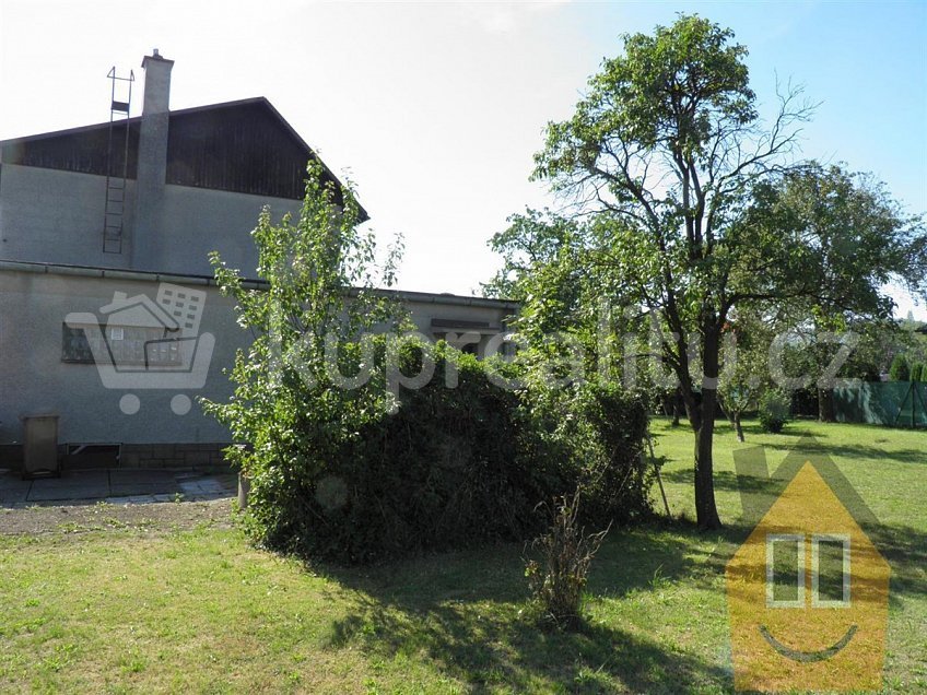 Prodej  rodinného domu 260 m^2 Město Albrechtice 79395