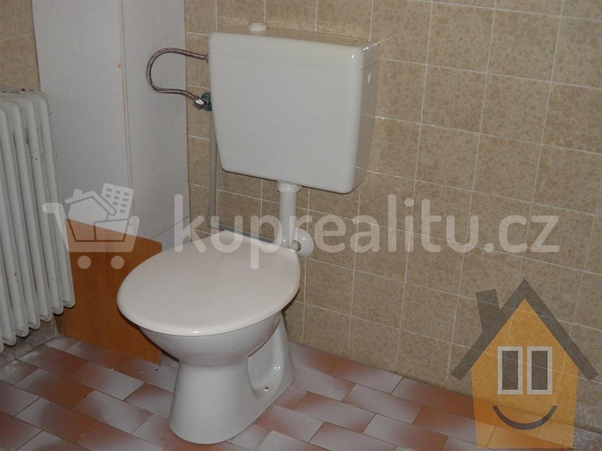 Prodej  rodinného domu 260 m^2 Město Albrechtice 79395