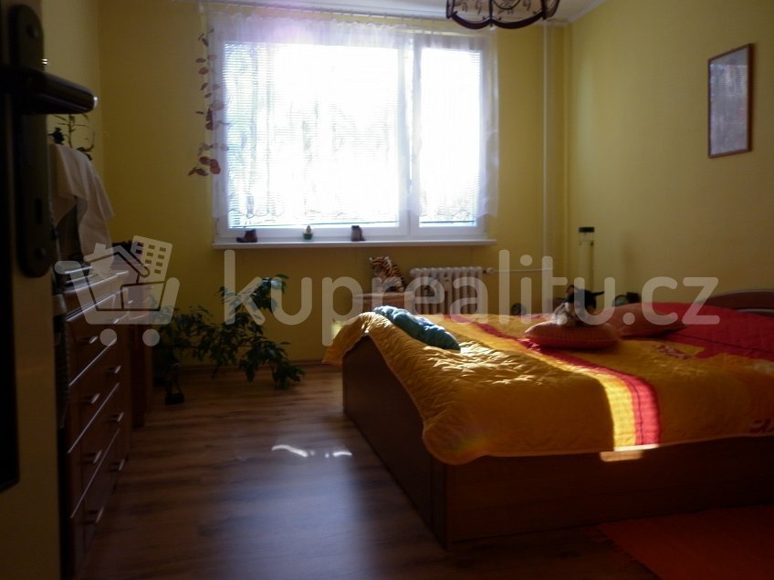 Prodej bytu 2+1 64 m^2 Školní, Děčín 40502