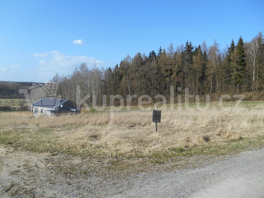 Prodej  stavebního pozemku 25000 m^2 Šabina 