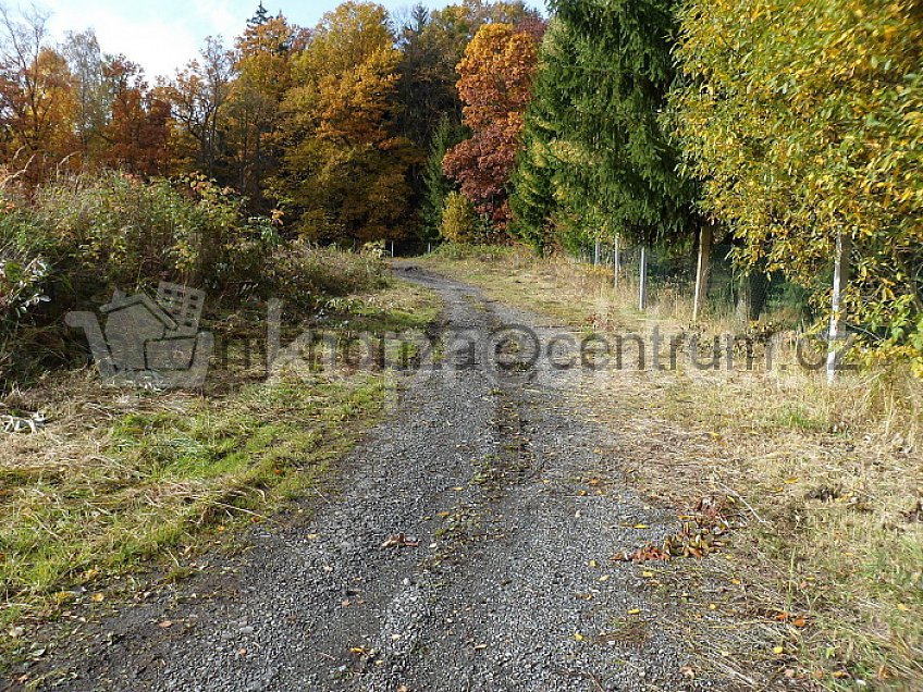 Prodej  stavebního pozemku 10953 m^2 Horšice, Týniště 34101