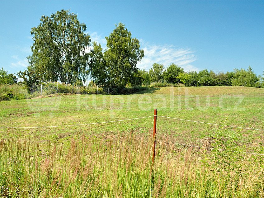 Prodej  stavebního pozemku 3101 m^2 Pod Břízami, Chomutov 43004