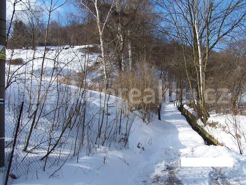 Prodej  stavebního pozemku 38000 m^2 Mlýnská 221, Krupka 417 42