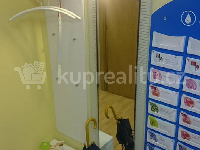 Pronájem  obchodních prostor 45 m^2 Lublaňská 3/63, Praha 2 Vinohrady 120 00