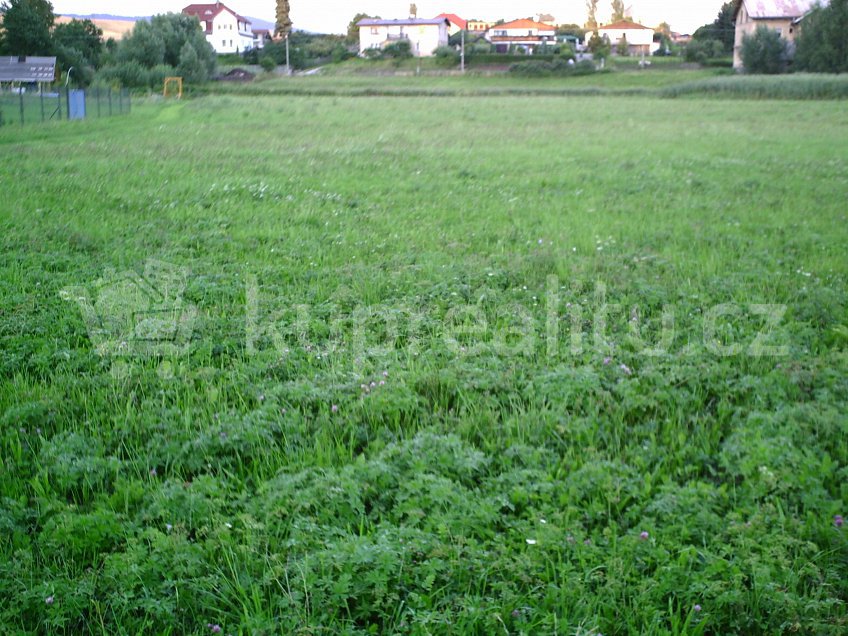 Prodej  stavebního pozemku 12400 m^2 Havlickova, Broumov Velka Ves 