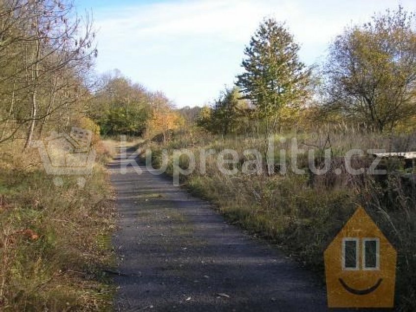 Prodej  stavebního pozemku 5036 m^2 Nový Oldřichov 47113