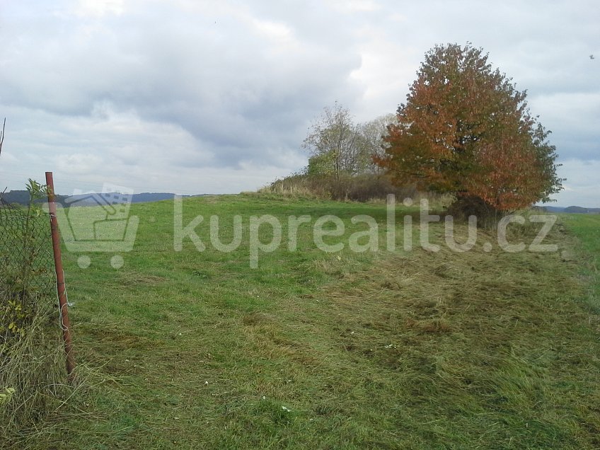 Prodej  stavebního pozemku 2713 m^2 Úlehle u Předslavic 